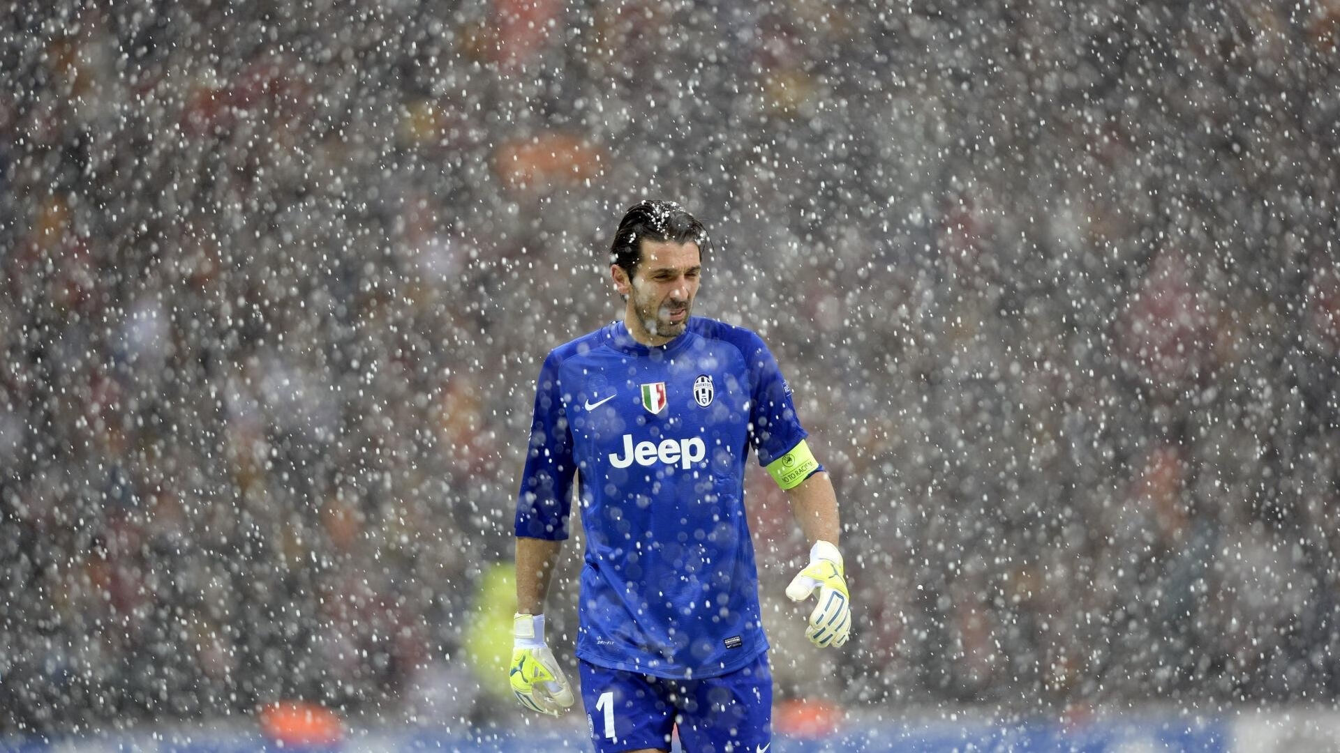 九游娱乐网站体验棒-最“萌”的比赛：球迷与动物的趣味互动，动物踢球的游戏